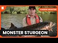 Chasing Giant Sturgeon in Canada - Chasing Monsters - S02 EP1 - Nature & Adventure Documentary