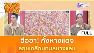 [คลิปเต็ม] ฮือฮา! กั้งหางแดง ลอยเกลื่อนทะเลบางแสน (21 ก.พ. 67) | แซ่บทูเดย์