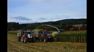 Siláže 2021 / Silage 2021 | Claas Jaguar, Steyr, Case IH | Farma Sixta