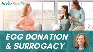Egg Donation & Surrogacy