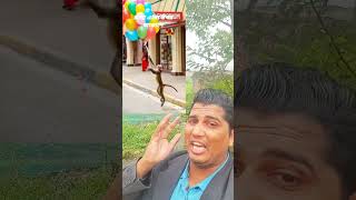 দেখেন ভাই দেখেন বানরের দৃশ্যটা খালি দেখেন