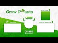 salak tree how to grow u0026 care