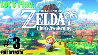 LOZ: Link's Awakening - Thick Shelled (Full Stream #3)