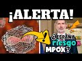 ALERTA ⚠️  CIENTÍFICOS ALERTAN RIESGO DE ESPAÑA ANTE NUEVA VARIANTE DEL VIRUS DE VIRUELA DEL MOINO!!