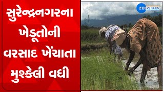 TOP News: સુરેન્દ્રનગરના ખેડૂતોની વરસાદ ખેંચાતા મુશ્કેલી વધી | Gujarat Monsoon | ZEE 24 Kalak