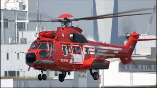 【ヘリコプター】 Eurocopter EC225 Super Puma JA119Y （東京消防庁航空隊）「ゆりかもめ４」の離着陸・東京ヘリポート   4K