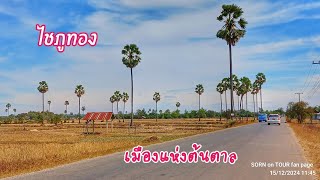 ชนบทลาว ไชภูทอง เมืองที่มีต้นตาลเยอะสุด ●● ໄຊພູທອງດິນແດນພຣະທາດໂຜນ, ສະຫວັນນະເຂດ