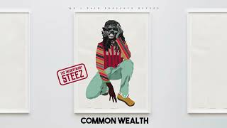 9. Dsteez - Common Wealth (official Audio)The Inconvenient Steez Album