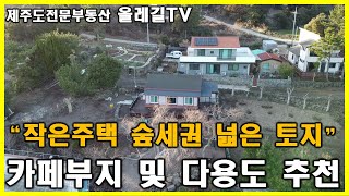 [매물번호No.490] 서귀포시 안덕면 두필지 넓은 토지+단독주택 매매 숲세권 조용한 마을 평화로 인접 접근성 좋은위치 계획관리지역 신축가능 - 제주도전문부동산채널 올레길TV -