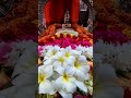 sadasiva brahmendra Aug 3/22 pooja