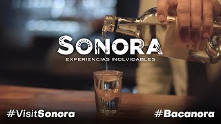 BACANORA, ASÍ NACE NUESTRO SABOR #VisitSonora #Sonora #DestinoGastronómico #ExperienciasInolvidables