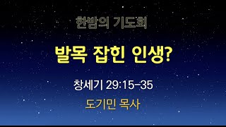 일산충신교회 한밤의 기도회_ 도기민 목사 (20250207)