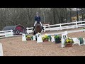 british dressage winter regionals elementary silver 4k