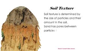 Soils in different environments| Why is it important to care for the Environment? | PEP Science Gr.6