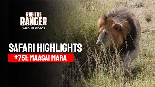 Safari Highlights #751: 8th February 2023 | Lalashe Maasai Mara | Latest #Wildlife Sightings