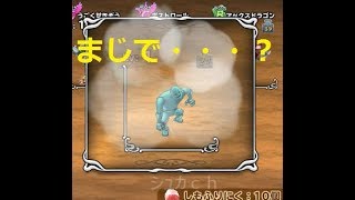 ドラゴンクエスト　モンスターパレード（モンパレ）　4周年記念イベントたんけんスカウトＳＰ　しもふり20個投入！