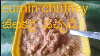 Cumin chutney జీలకర్ర  పచ్చడి