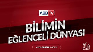 Bilimin Eğlenceli Dünyası  19.Bölüm