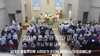 2018 파스카 성야 미사 3 -성대한 알렐루야후 시편성가