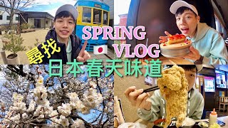 小田原VLOG｜尋找日本春天味道🌸百年老店櫻花麵包、跟臉一樣大的炸雞定食、春天季節限定蛋糕、小田原城梅花滿開