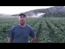 meet an idaho farmer