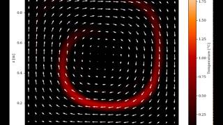 Solution of 2D Advection Problem for a complex velocity field using the Marker-in-Cell Method
