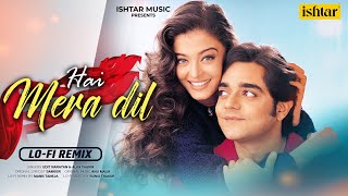 Hai Mera Dil | LO-FI Remix | Aishwarya Rai & Chandrachur Singh | Josh | Udit N. & Alka Yagnik