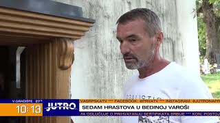 JUTRO - Bedina varoš | PRVA