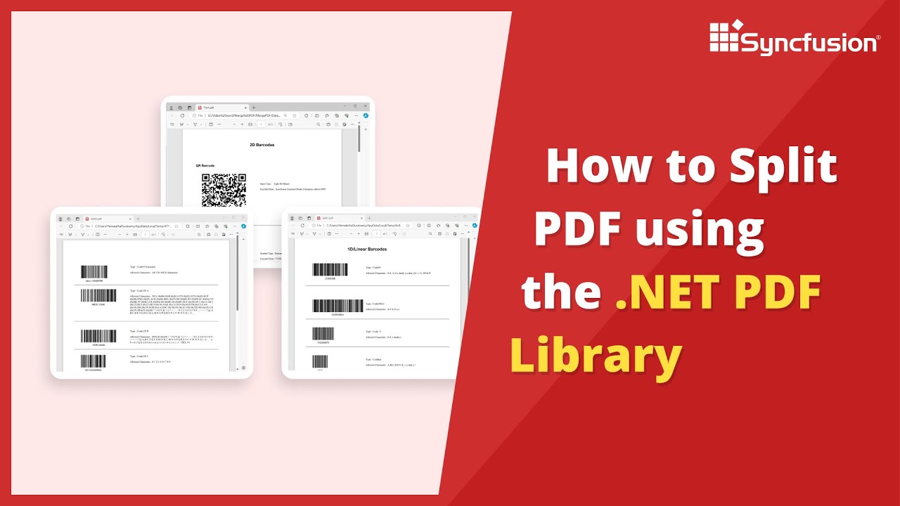 How To Split A Pdf Using The Net Pdf Library Youtube