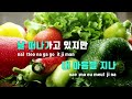 tj노래방 슬픈등 인생은뷰티풀 비타돌체ost 김호중 tj karaoke