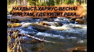 НАХЛЫСТ - ХАРИУС - ВЕСНА! Или там, где кипит река...