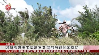 漂流木塞爆富岡漁港 林務局開放民撿拾 2019-08-27 IPCF-TITV 原文會 原視新聞