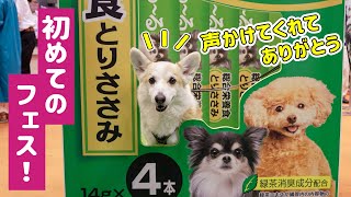 初めて北海道ペットフェスティバルに行ってきました｜視聴者さんに沢山会えました！