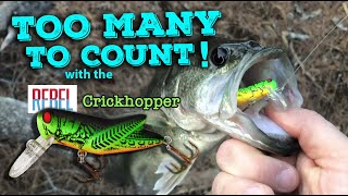 LAWAI'A BROS - The CRICKHOPPER LURE is 🔥🔥🔥 ! ! !