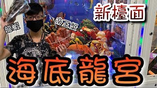 娃娃機裡竟然養活的魚...夾到重達一公斤的帝王蟹！新檯面「海底龍宮」【醺醺Xun】[台湾UFOキャッチャー UFO catcher คลิปตุ๊กตา Clip búp bê]