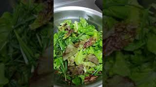 죽은 입맛 살려주는 상추,부추 겉절이 만드는 법? How to make fresh lettuce chives that give you a dead appetite?