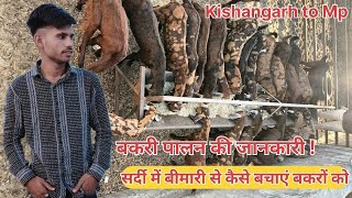 सर्दी में बीमारी से कैसे बचाएं बकरों को / टॉप क्वालिटी छोटी /(@India's largest goat farming) #top