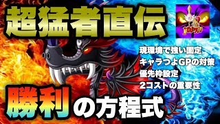 【城ドラ】ソロで勝ちたい人は必見！超猛者『ばじりん』直伝！勝利の方程式【城とドラゴン｜ジミー】