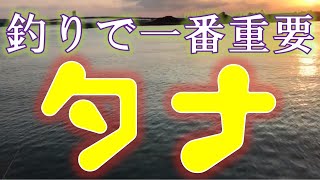 【初心者】底を攻める！　初めて釣行する防波堤 タナ取りの仕方を絵でも解説♪　ボトムを攻める！　餓鬼西へ南へ 【024】