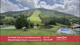 MITTERSILL ALPINE RESORT | WPBS Holiday Auction 2024