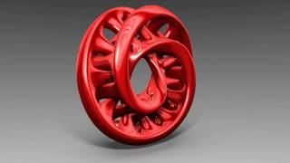 Moebius strip linked torus