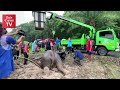 Baby elephant rescued from Thai manhole