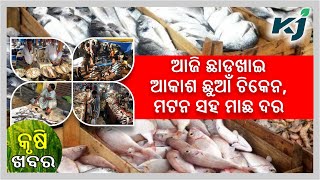 ଆଜି ଛାଡଖାଇ। chadakhai। Onion Price Hike। Millets Divas। odia bulletin। Top Agriculture News।