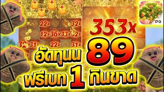 [เกมต้นไม้ทอง] อัดทุนน 89บาท ซื้อฟรีเบท1 กินขาดดด!! 😱💥🙀 ProsperityFortuneTree สล็อตค่าย PG