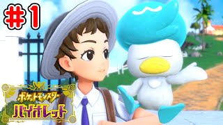 クワッス、キミにきめた！【ポケットモンスター・バイオレット】実況 #1