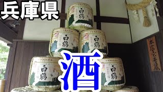 【神戸観光は飲み過ぎ注意】兵庫県神戸市白鶴・菊正宗を飲み歩きの旅【トッキ―二ひょう助の旅第163話】