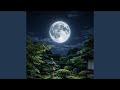 Peaceful Mind