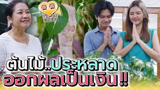 แม่ทำได้ไง ให้เงินเป็นพัน..งอกมาจากต้นไม้เนี่ยนะ !! (ละครสั้น) - ปัง ปัง แชนแนล