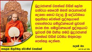 බුදුරජාණන් වහන්සේ විසින් ලෝක සත්වයා කෙරෙහි මහත් කරුණාවෙන්..Ven Hasalaka Seelawimala Thero