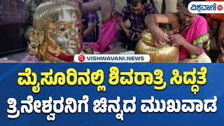 Trineshwara Temple Mysore|ಮೈಸೂರಿನಲ್ಲಿ ಶಿವರಾತ್ರಿ ಸಿದ್ಧತೆ ತ್ರಿನೇಶ್ವರಿನಿಗೆ ಚಿನ್ನದ ಮುಖವಾಡ |Vishwavani TV